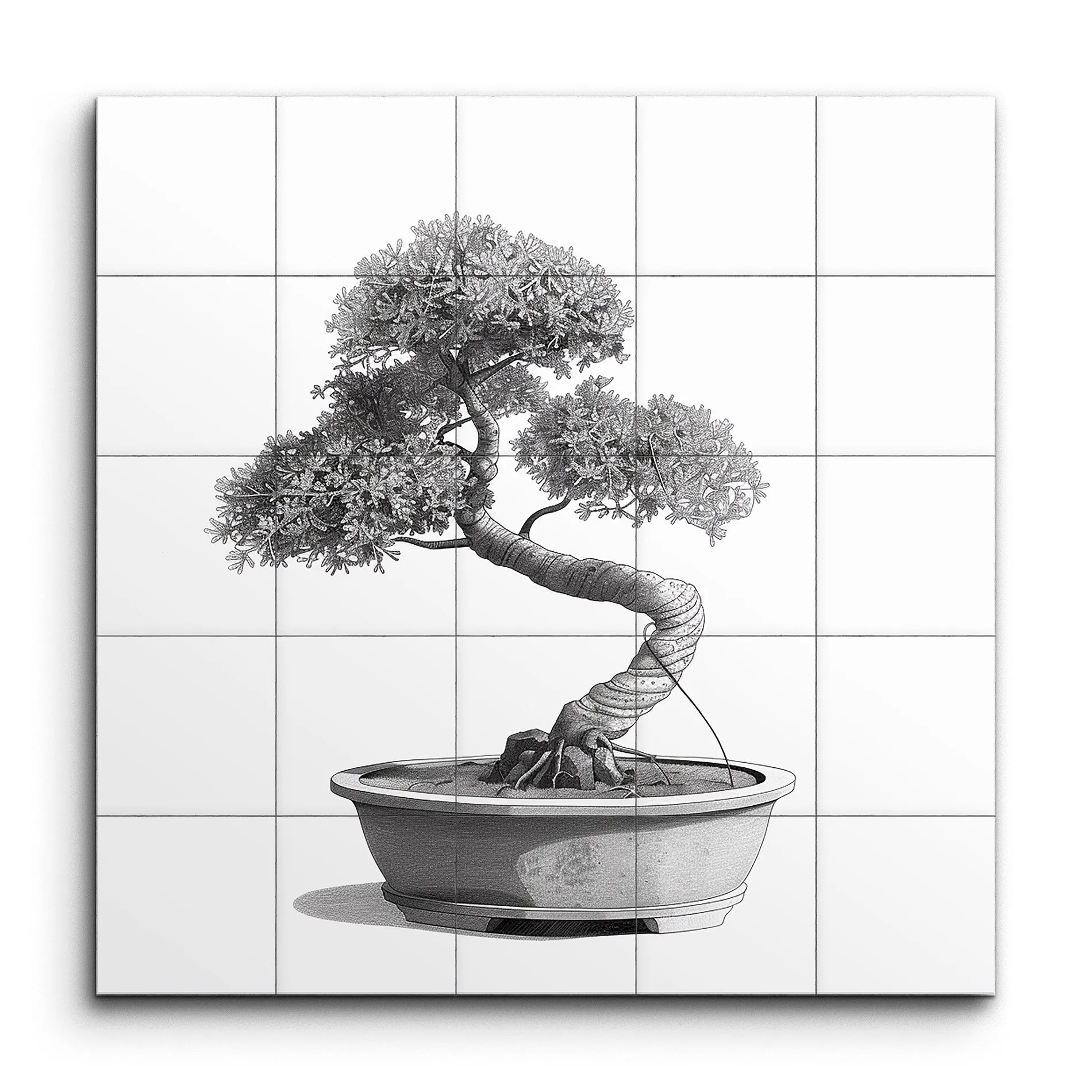 Bonsai Serenity: Timeless Beauty in Monochrome