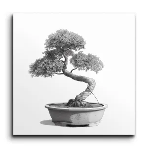 Bonsai Serenity: Timeless Beauty in Monochrome