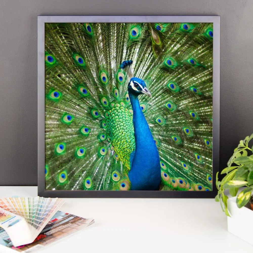 Green Peacock Framed Photo Poster Wall Art Decoration Decor For Bedroom Living Room