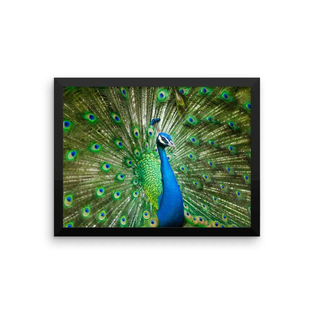 Green Peacock Framed Photo Poster Wall Art Decoration Decor For Bedroom Living Room