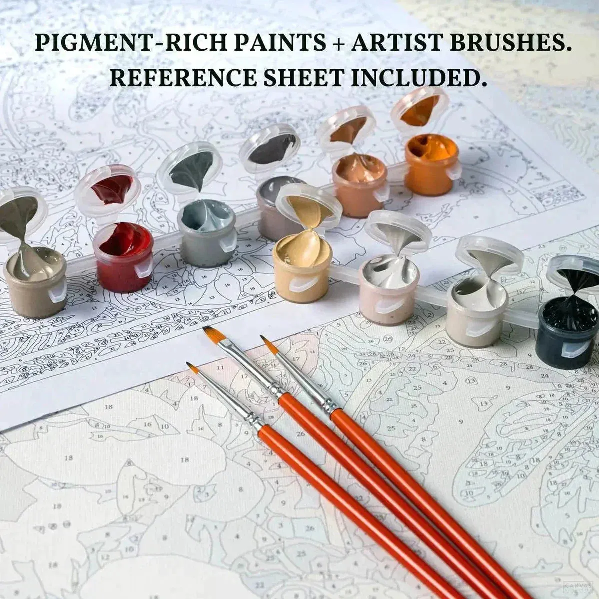 Honey Bee – Paint by Numbers