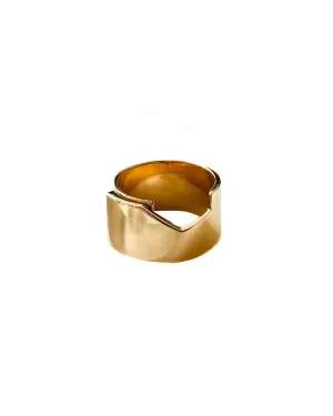 I ring polished big