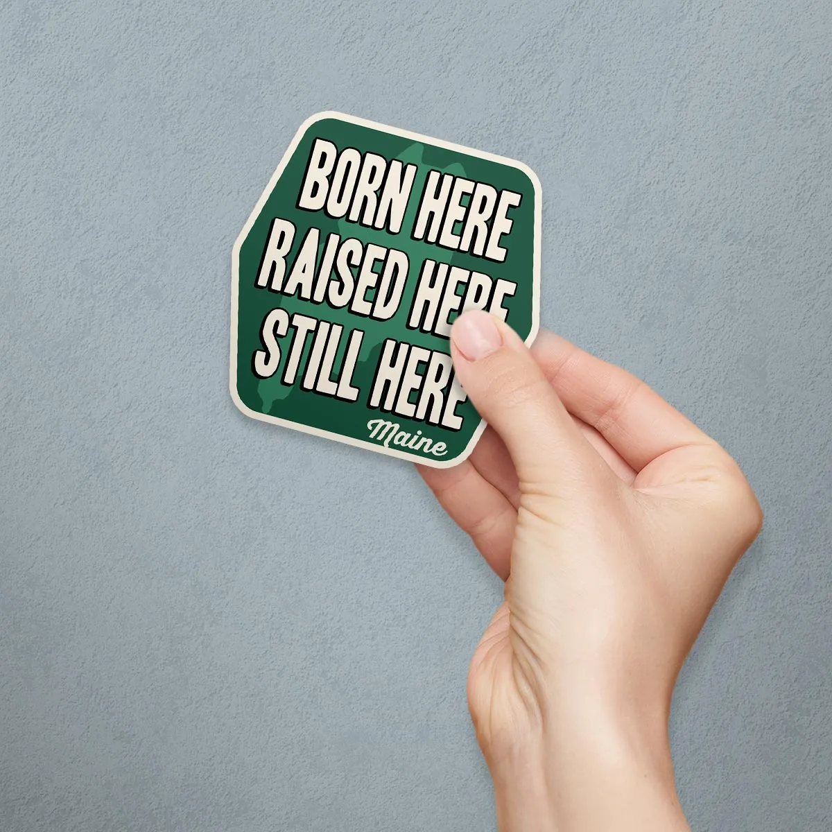 Maine Born Here Still Here Die Cut Vinyl Sticker