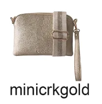 Sally Gold Mini Crossbody Bag