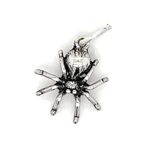 Tiny Haunting Spider Charm
