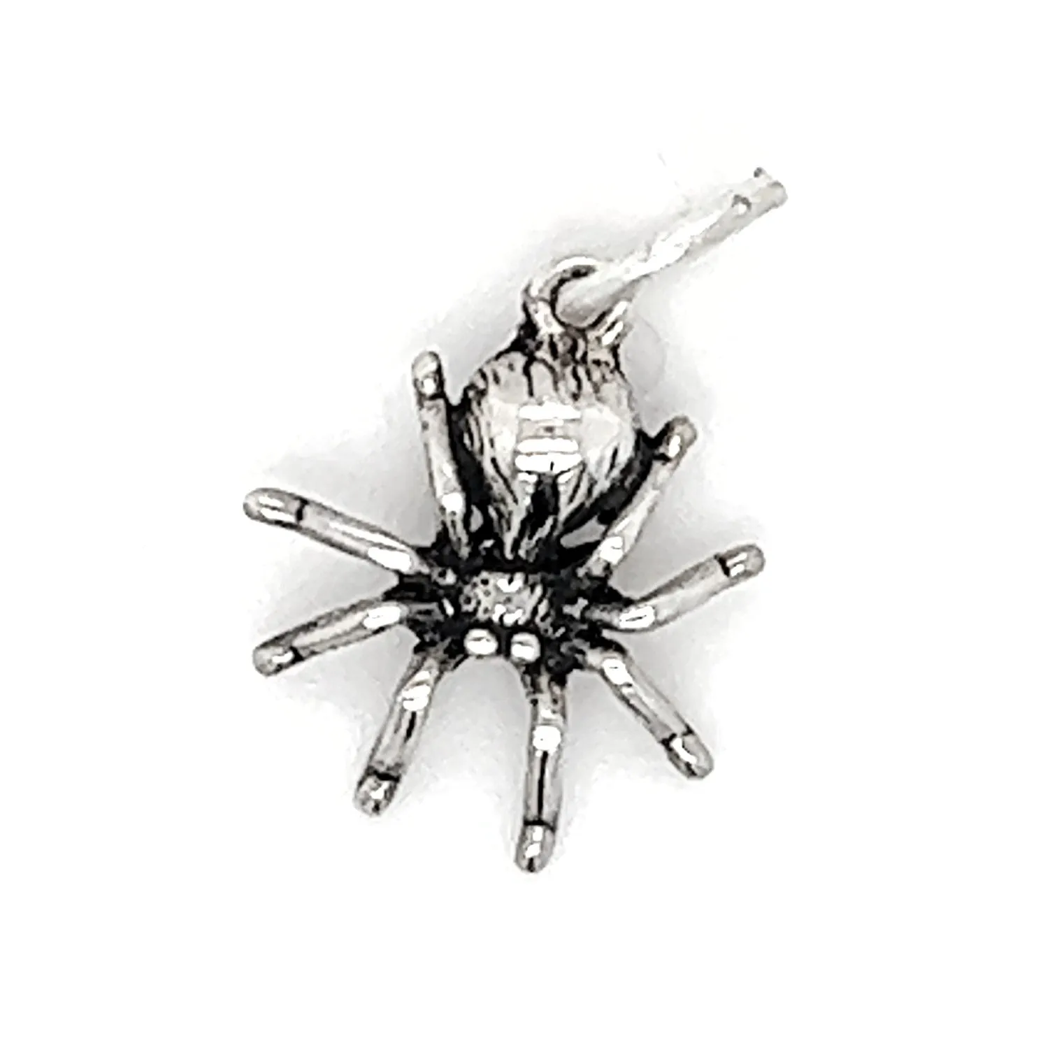 Tiny Haunting Spider Charm