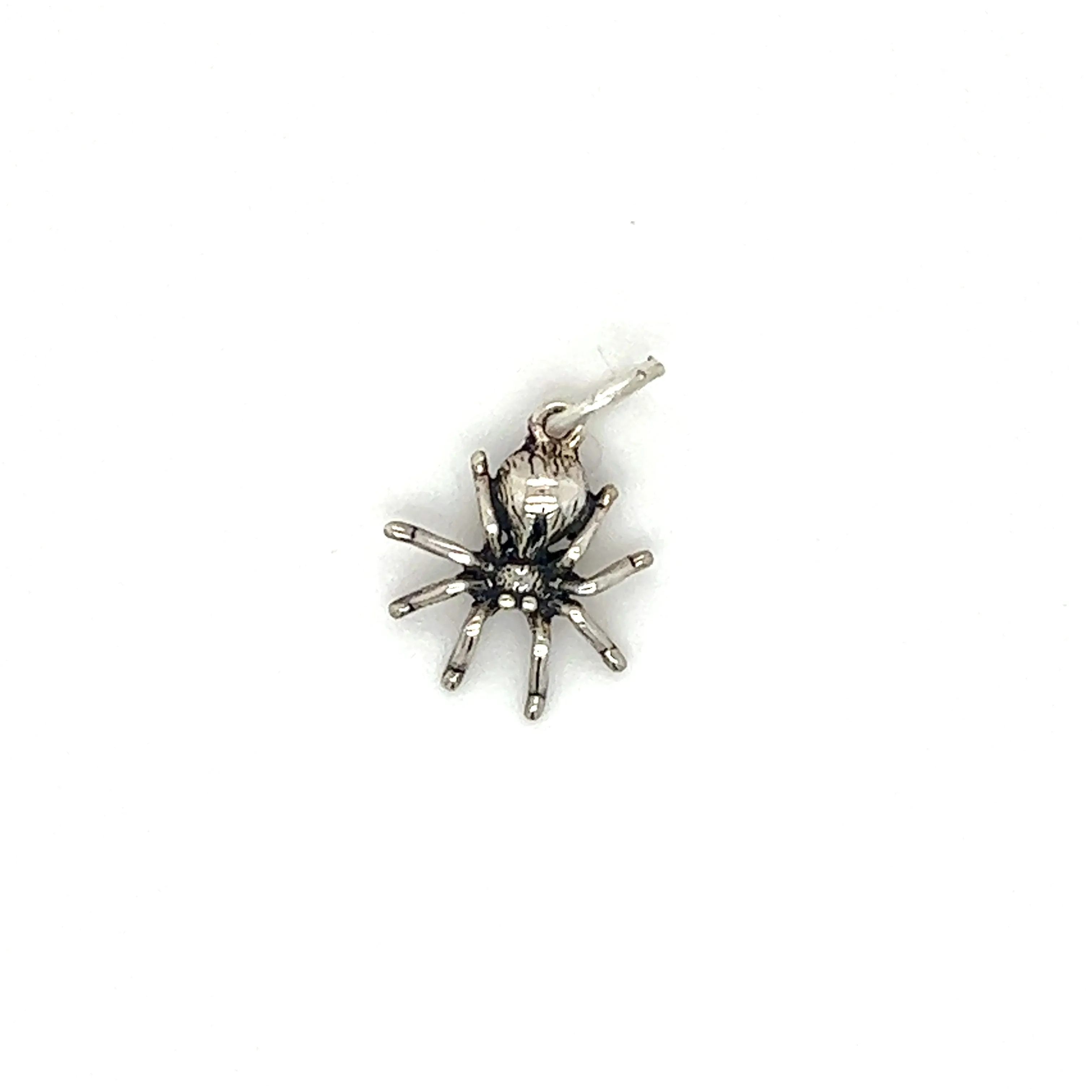 Tiny Haunting Spider Charm