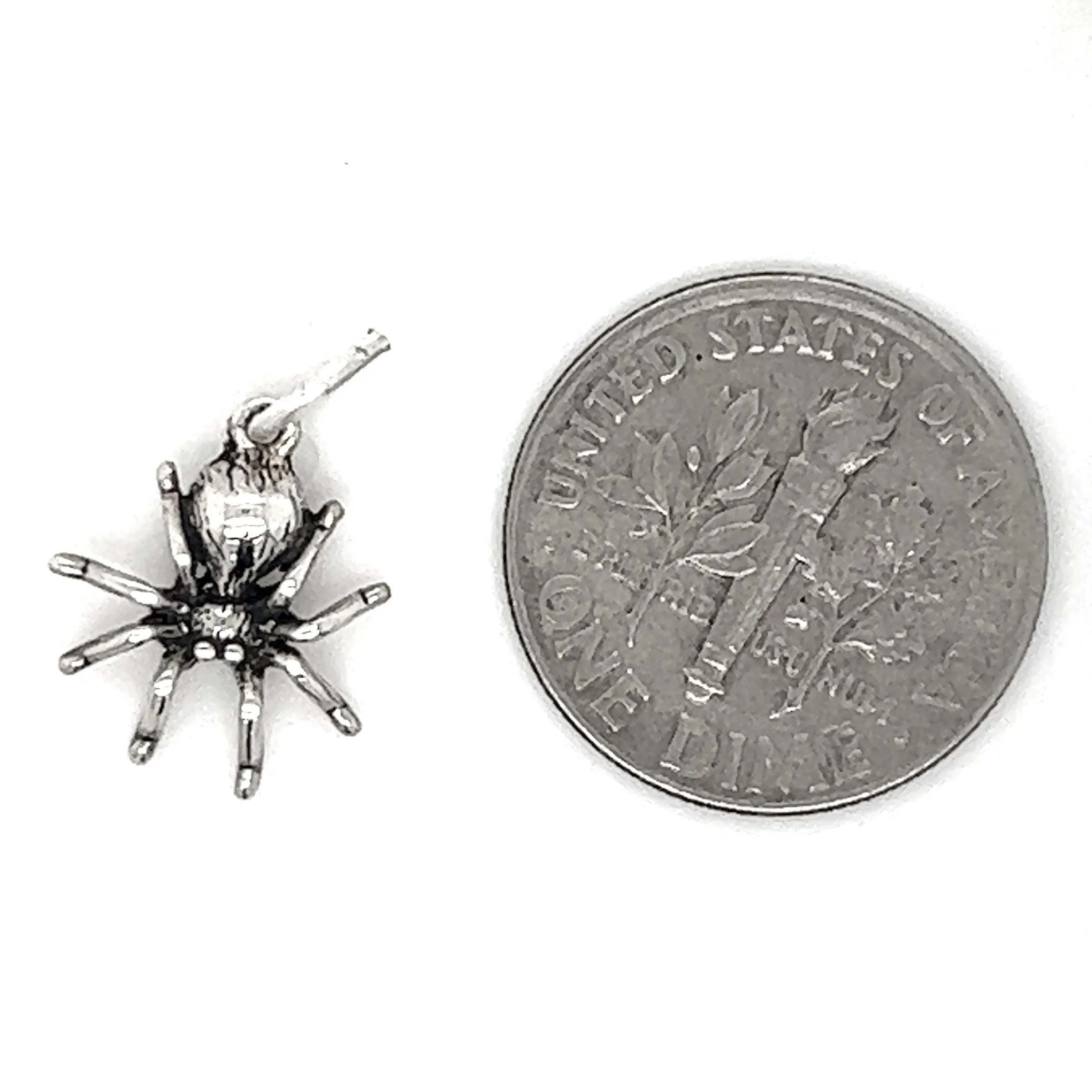 Tiny Haunting Spider Charm